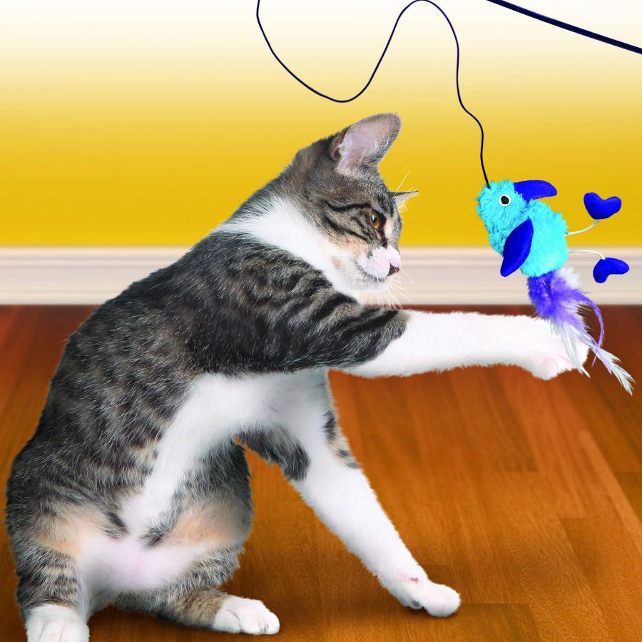 Vara de pesca Kong Cat com brinquedo de pelúcia
