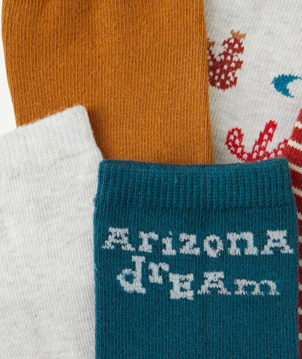 LOT DE 5 CHAUSSETTES HAUTES GARÇON THÈME ARIZONA AVEC CACTUS