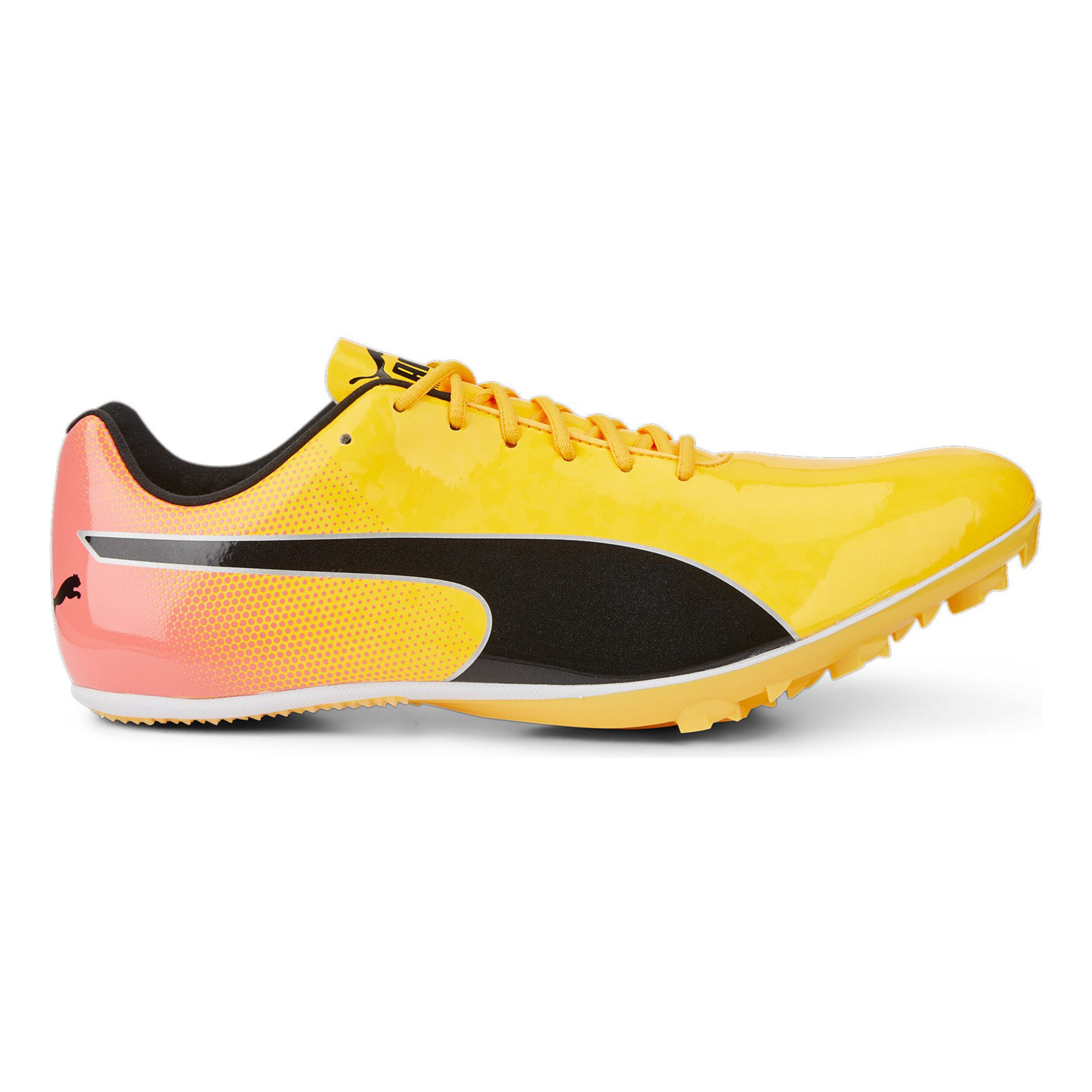 Puma EvoSPEED Sprint 14 Spikes - Jaune , Orange