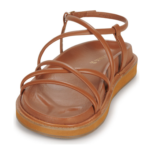 Jonak - WET Cognac