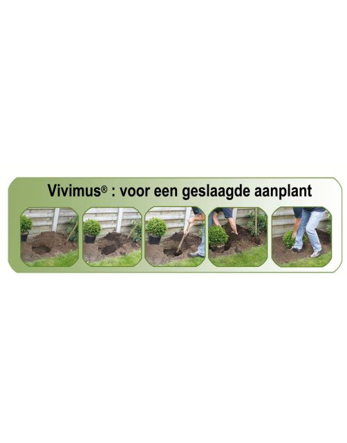 Dcm Vivimus Universeel - Bodemverbetering - 40 l
