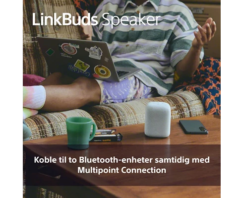 Sony Linkbuds Speaker - Light Grey