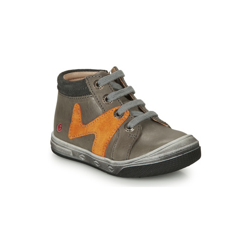 GBB - OLINOU - Gris / Ocre