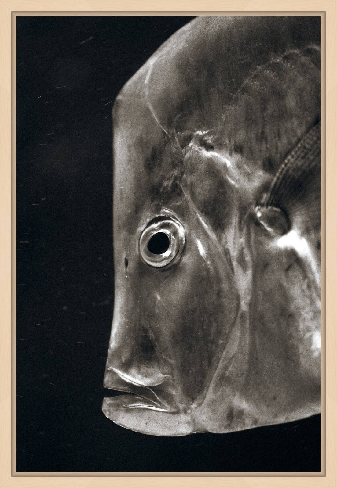Lookdown by Henry Horenstein - Open Edition.
