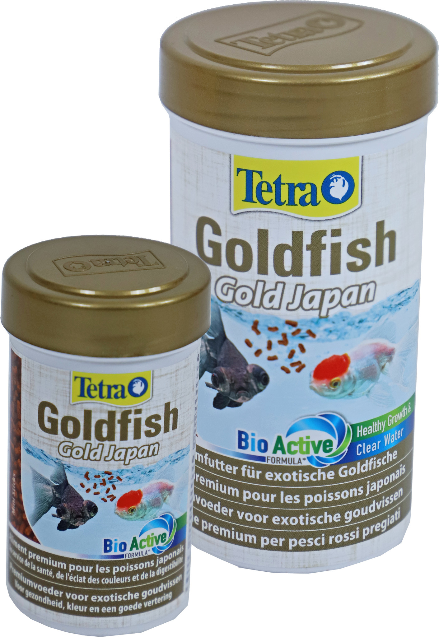 Tetra Goldfish Gold Japan