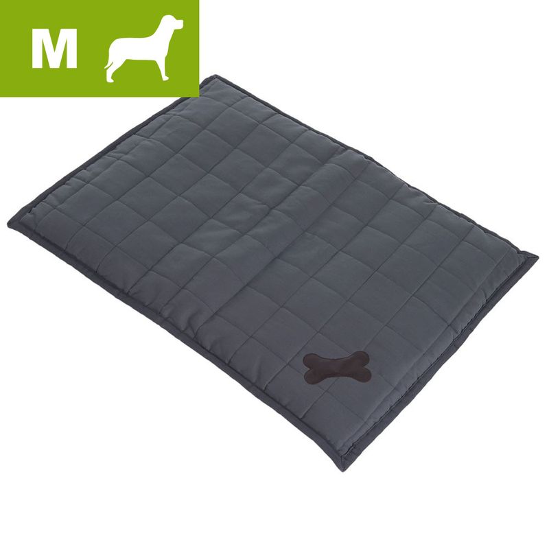 Couverture Freedom Bone