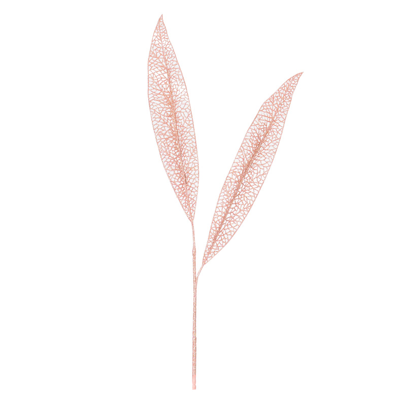 Feuilles épée 'Mille éclats'