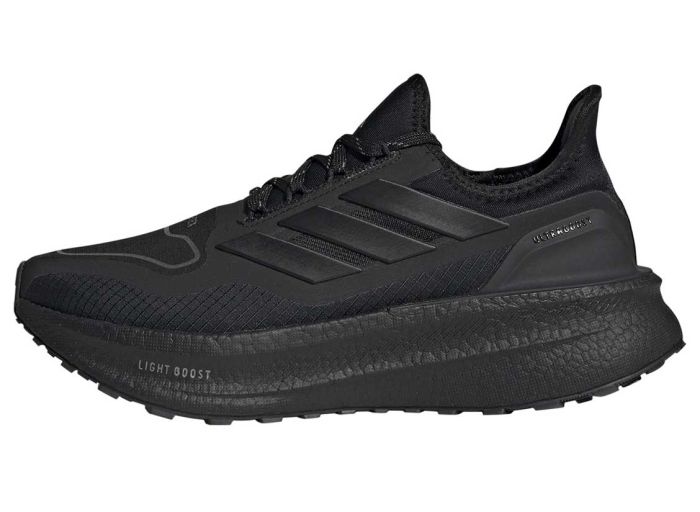 Ultraboost 5 GTX Women