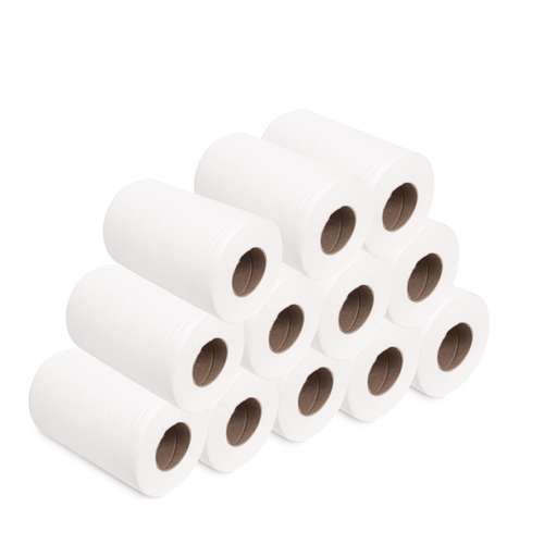 Putzrollen