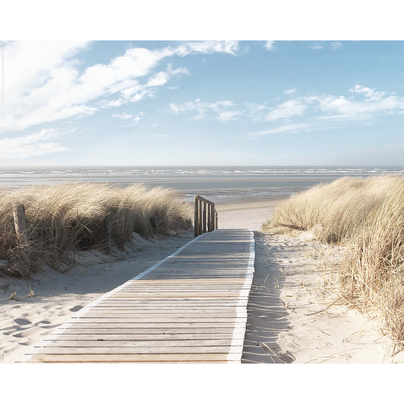 Deco Panel DÜNEN - 40x50 cm