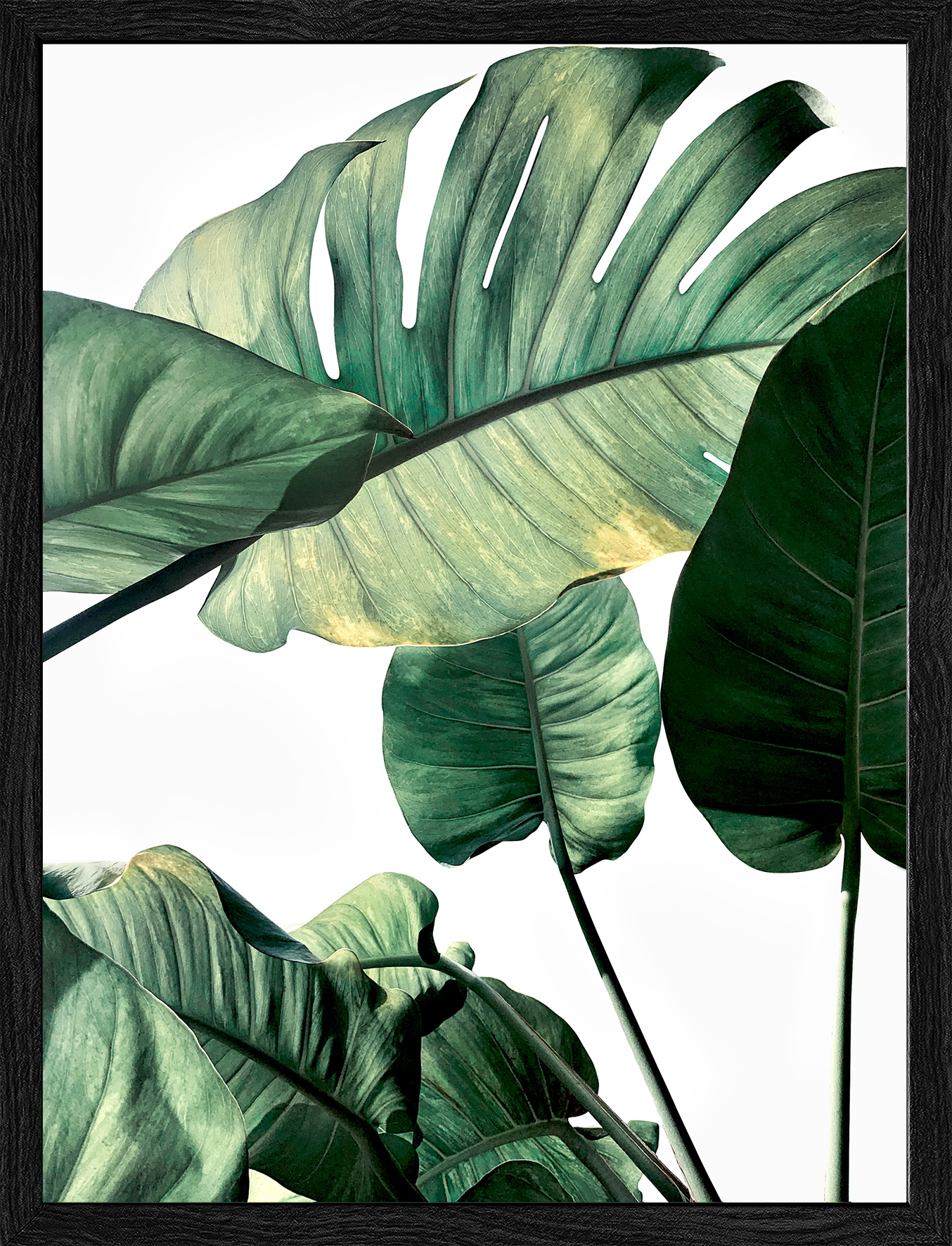 Gerahmtes Bild JUNGLE LEAVES I