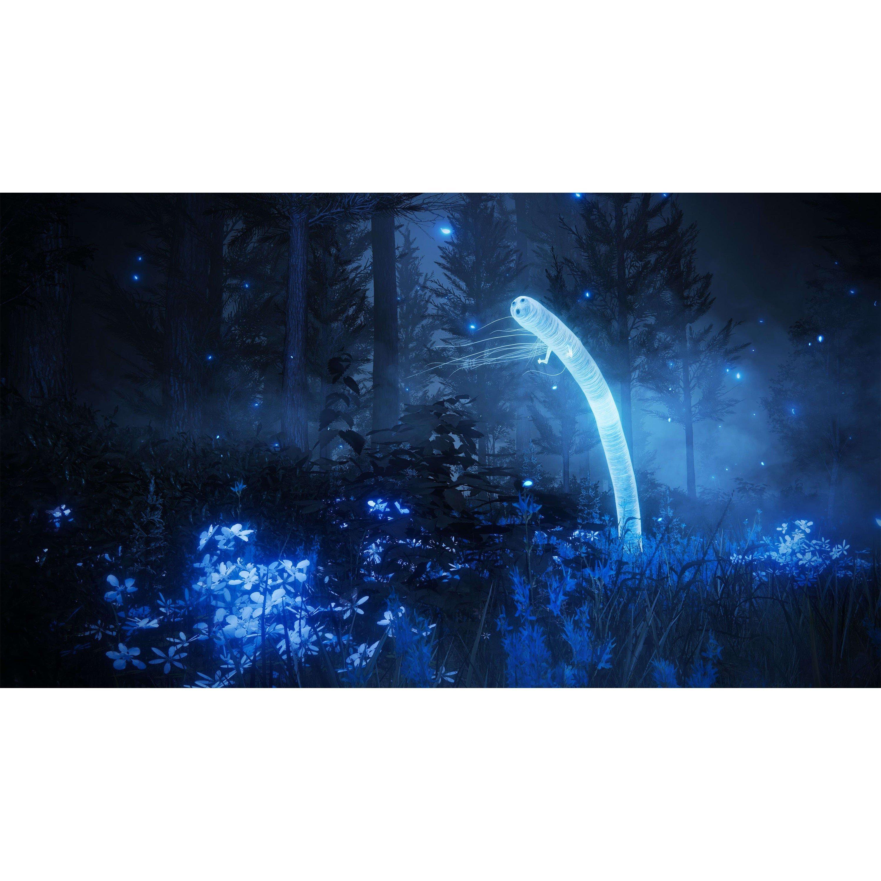 Bandai Namco Entertainment GAME Elden Ring: Shadow of the Erdtree Collectors Ed