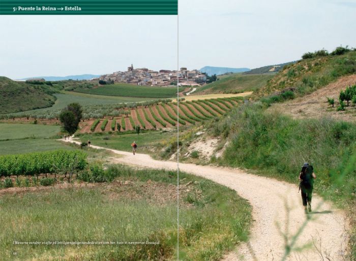 Pilgrimsvandring til Santiao de Comp.
