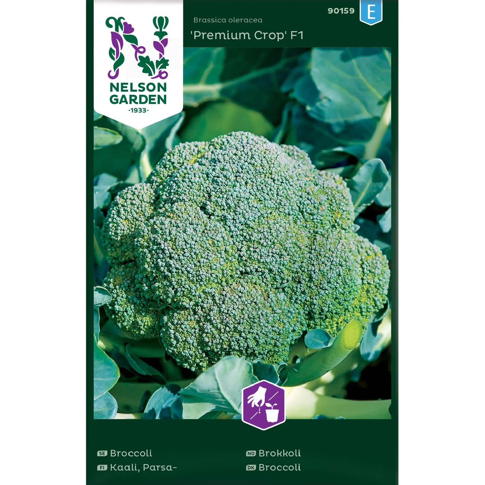 Brassica oleracea 'Premium Crop' Brokkoli 'Premium Crop' F1