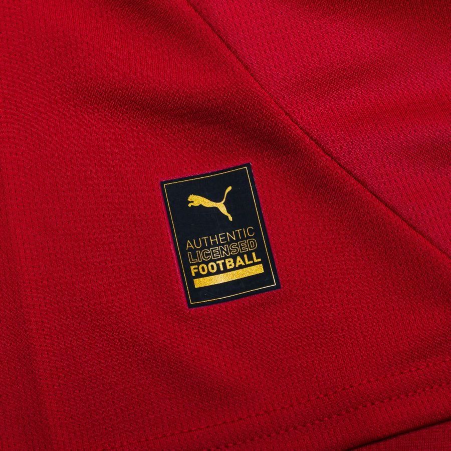 Serbie Maillot Domicile 2024/25