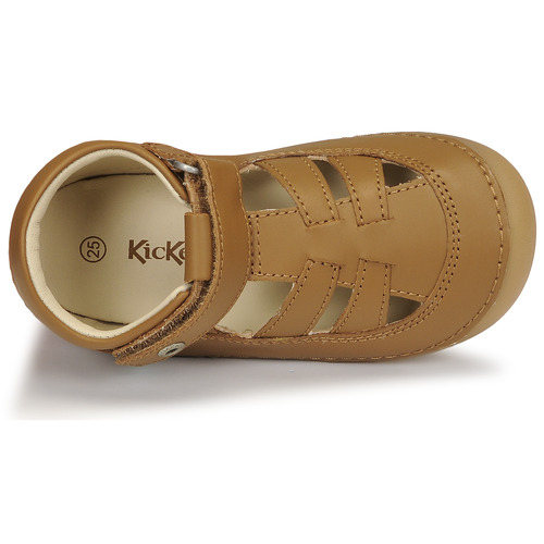 Kickers - SUSHY - Camel