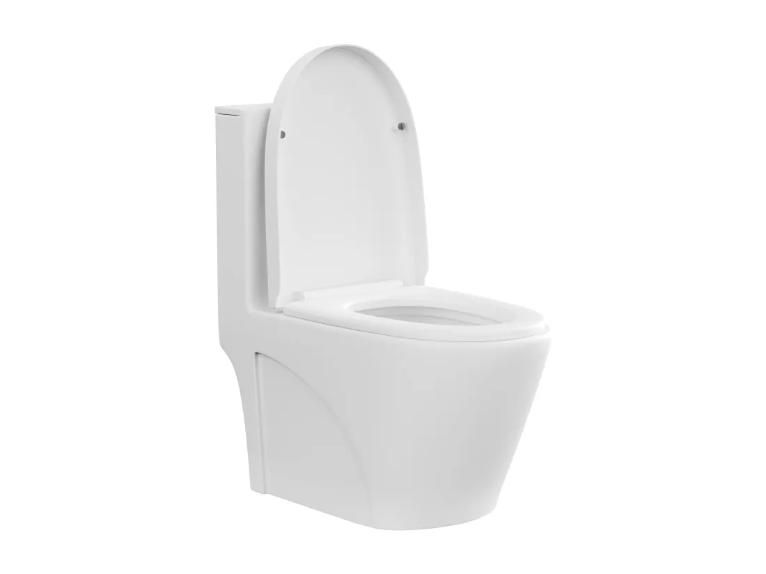WC à poser blanc mat en céramique - Evacuation horizontale - NAGILAM