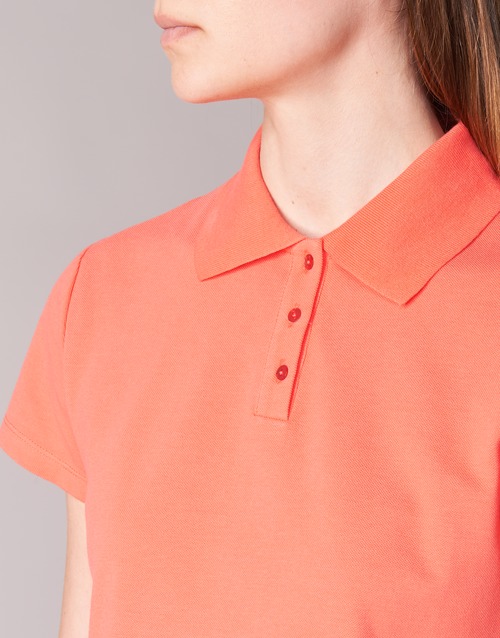 BOTD - ECLOVERA - Orange