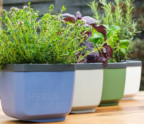 Gusta Garden Kräutertopf Herbs Buddy, ca.