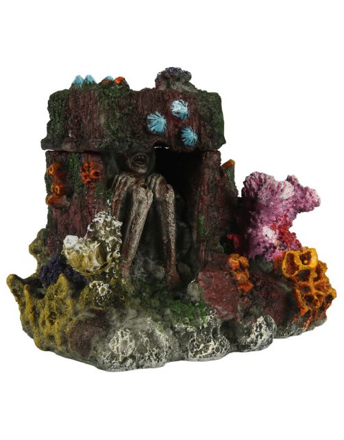 Aqua Della Verdwaald Bot - Aquarium - Ornament - 15x11x11.5 cm