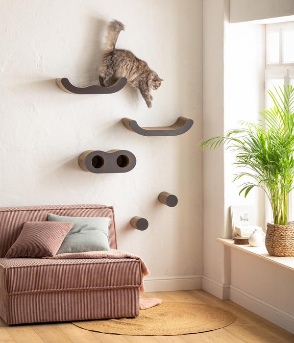 Dehner Lieblinge Kletterwand Sidney, 5-teilig