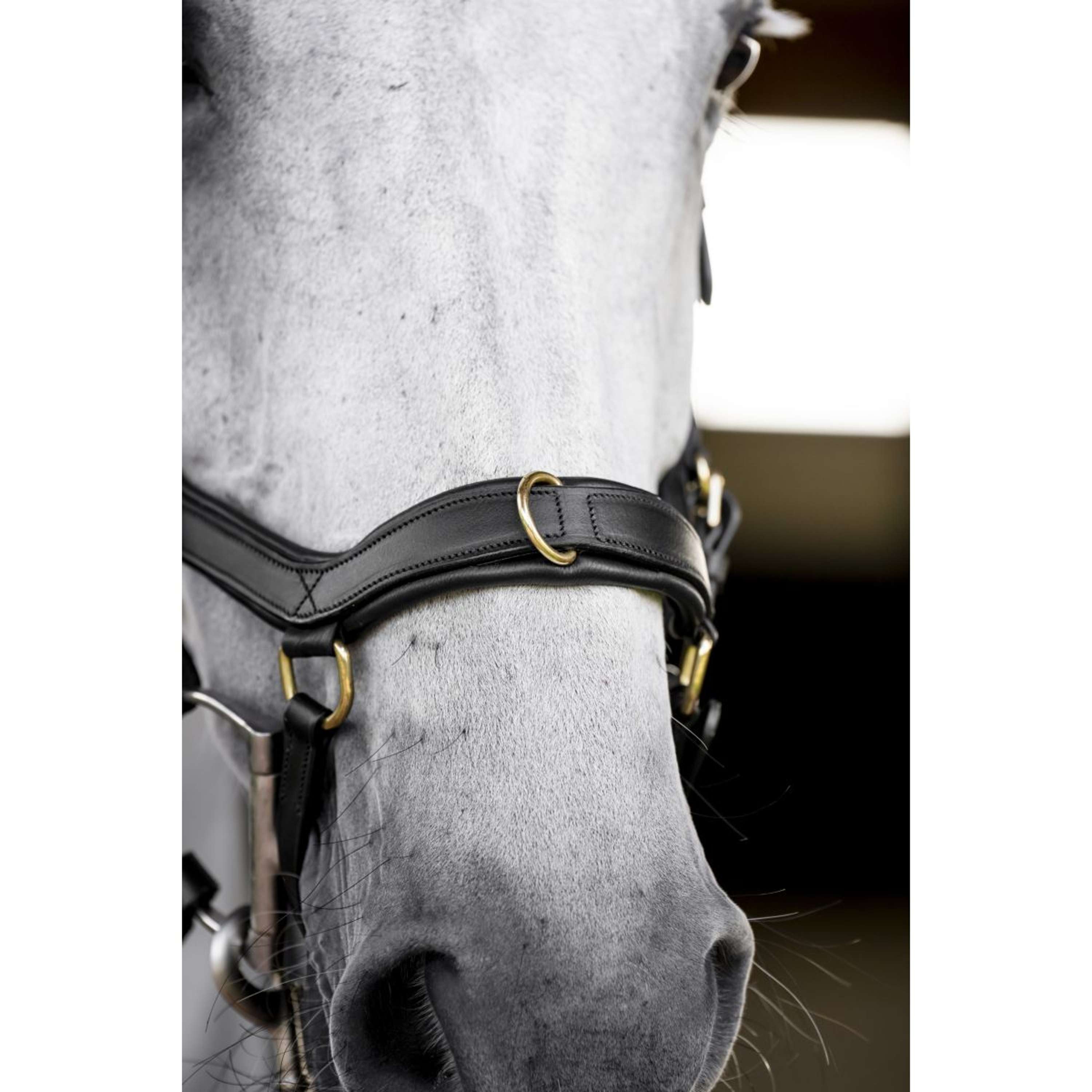 Horseware Micklem Multi Bridle Zwart