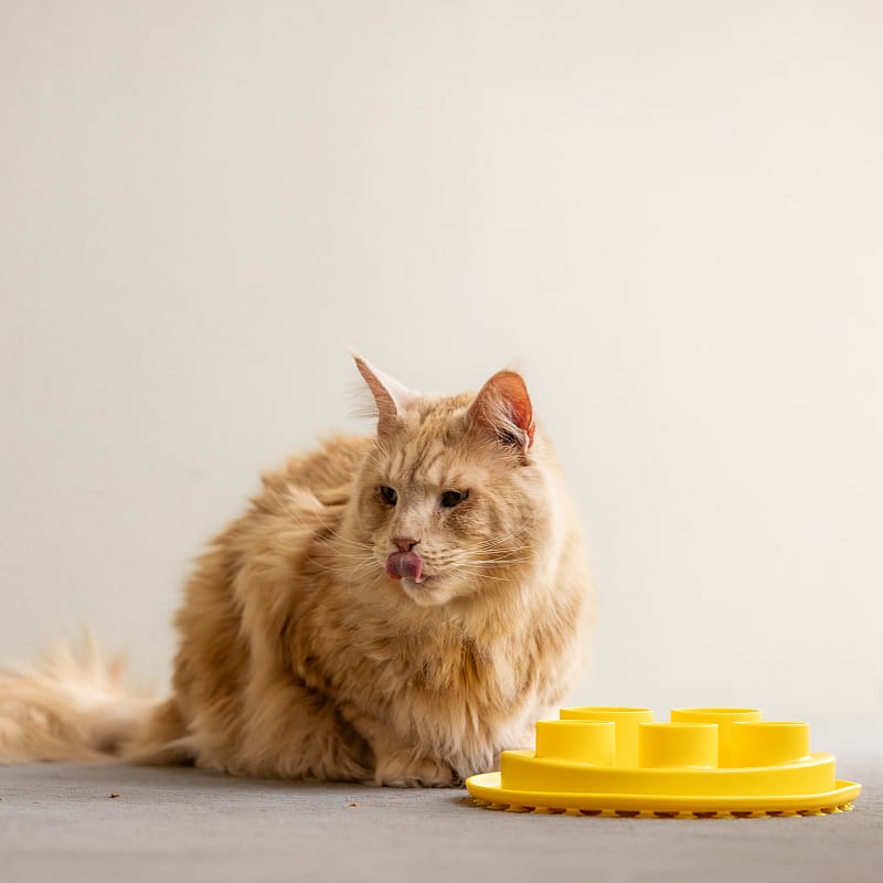 Puzzle Digger Slow Feeder Ø 25cm Kat | 13368