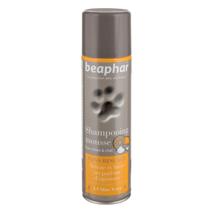 Shampooing mousse