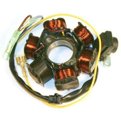 Stator d'allumage Electrosport