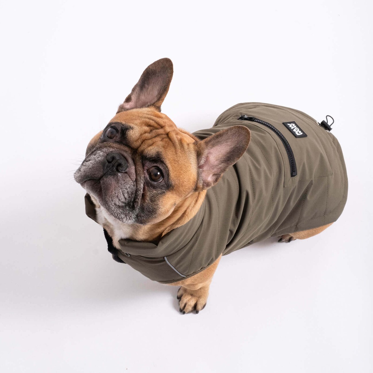 PAW WOW Hundejacke TONI Olive M
