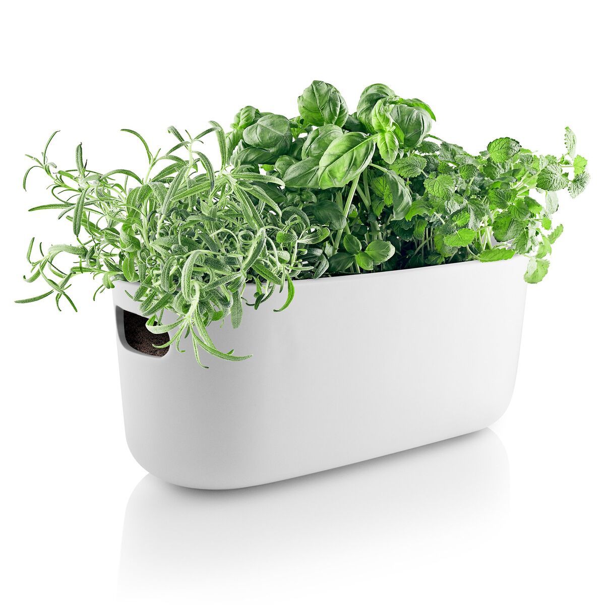 Selvvannende Herb Organiser Hvit