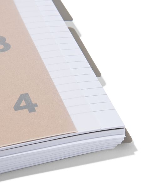 cahier à spirale 4-en-1 A5 ligné carton