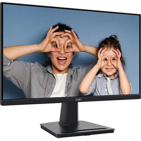 Ecran PC Msi PRO MP225V