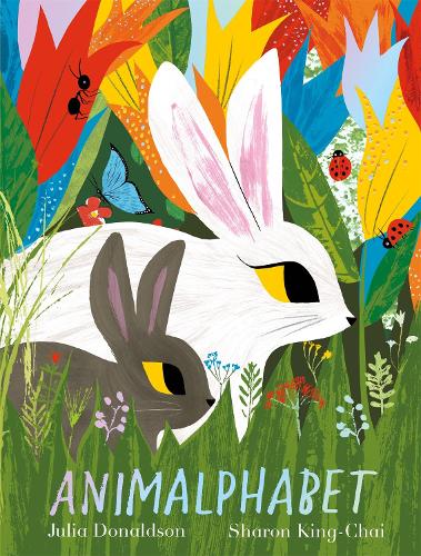 Animalphabet: A lift-the-flap ABC book from the author of The Gruffalo (Paperback)
