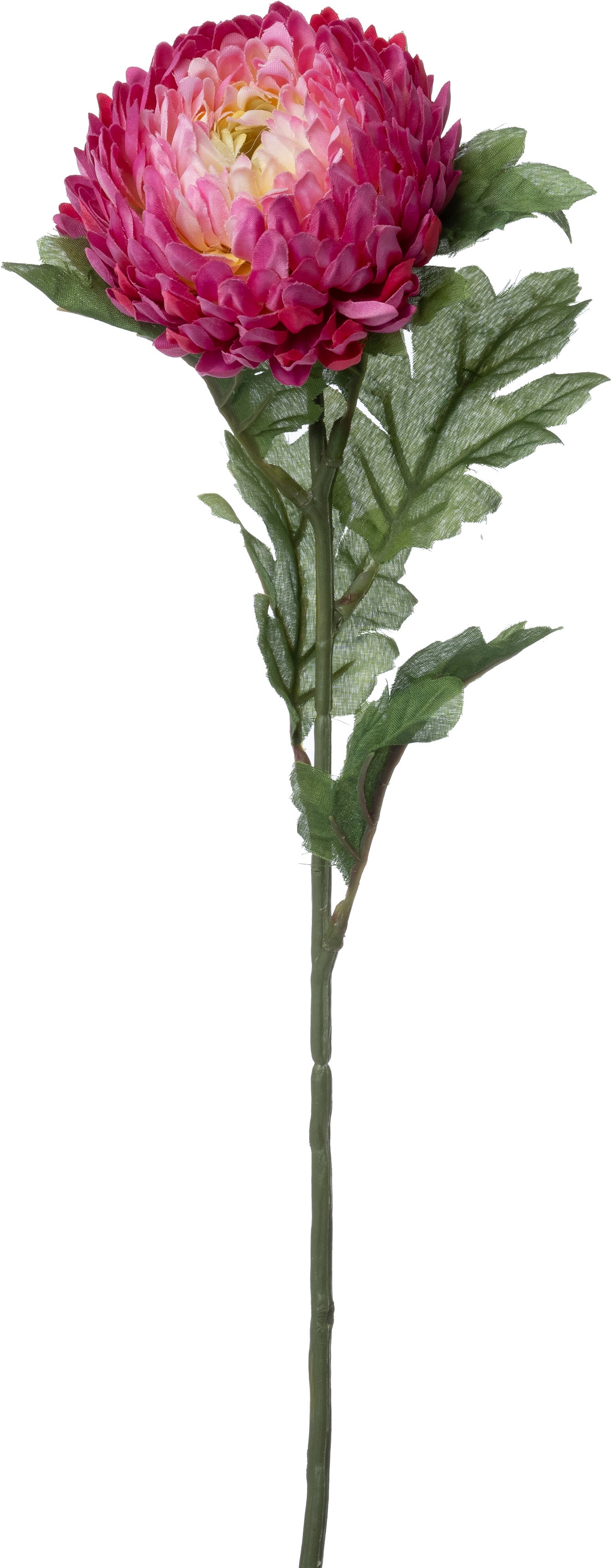Intratuin kunstbloem Chrysant paars 56 cm