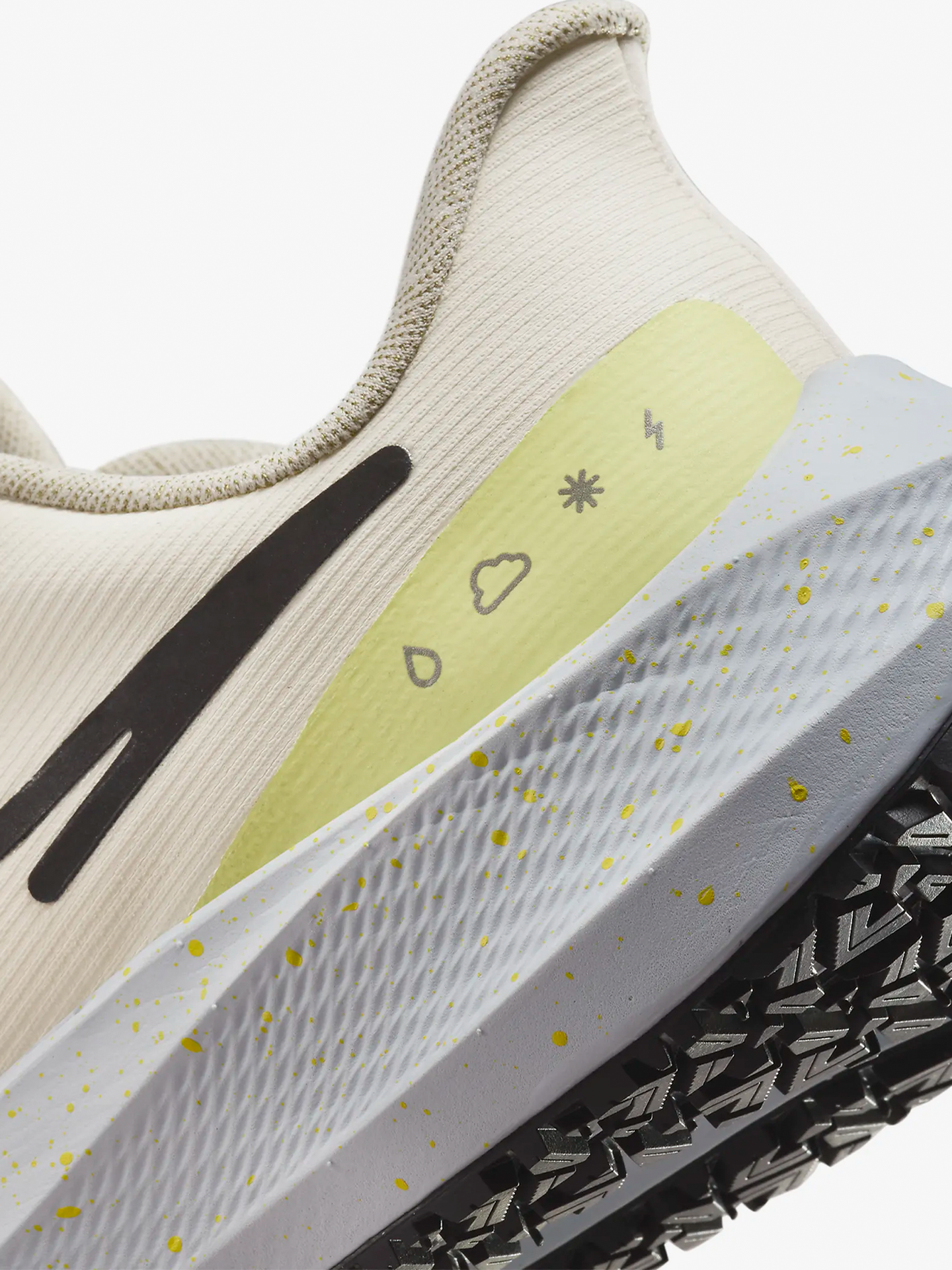 Air Zoom Pegasus 39 Shield