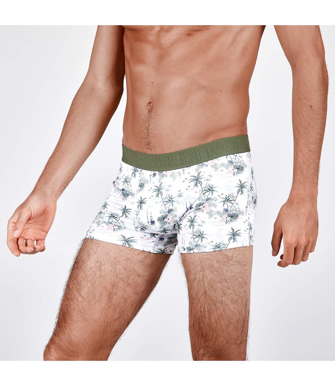 Boxer Landscape