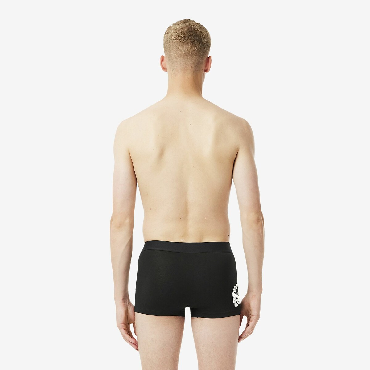 LACOSTE<br>Conjunto de 3 cuecas boxer em algodão elástico estampado