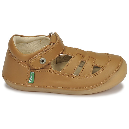 Kickers - SUSHY - Camel