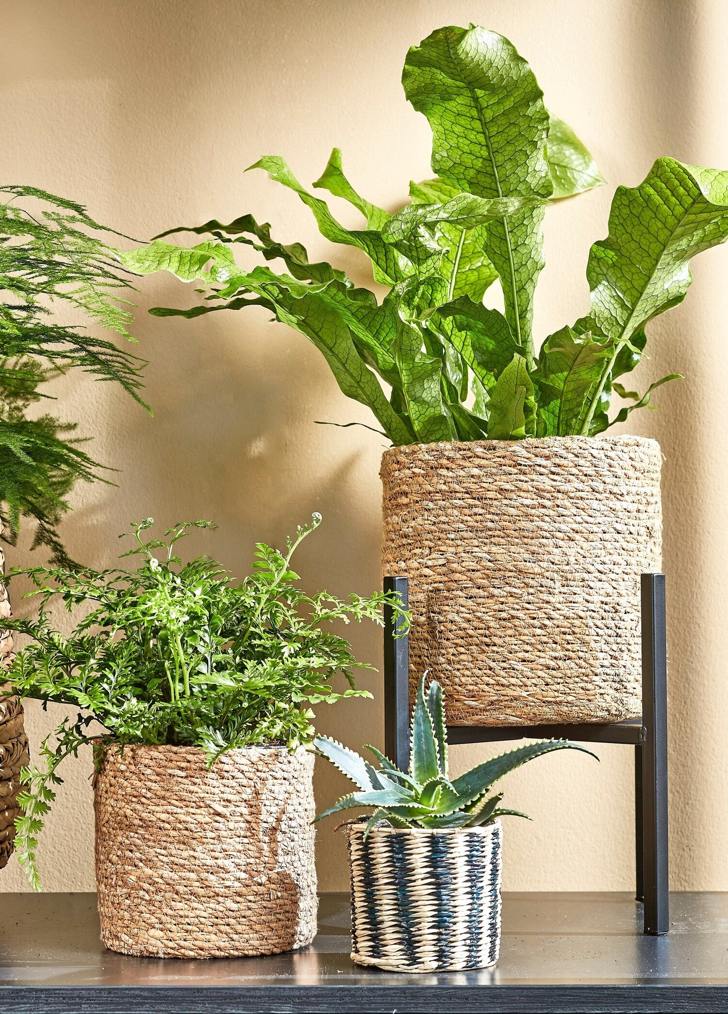 Mica Decorations plantenstandaard Ascot xl zwart 37,5 x 37,5 x 39,54 cm