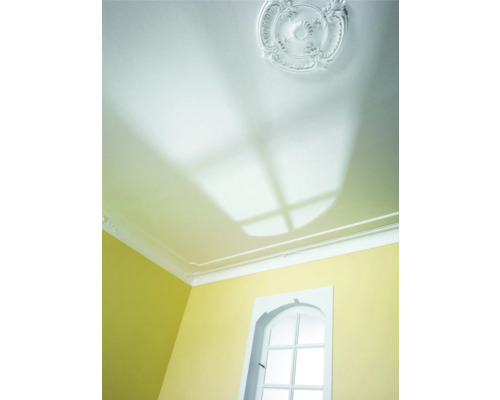 Vliesbehang 73303 Marburger plafond wit