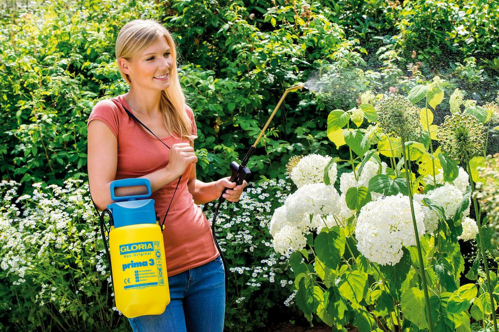 Gloria pulvérisateur a main gloria - modele prima 3 - avec lance et sangle - réservoir polyéthylene - 3l pour une pression de