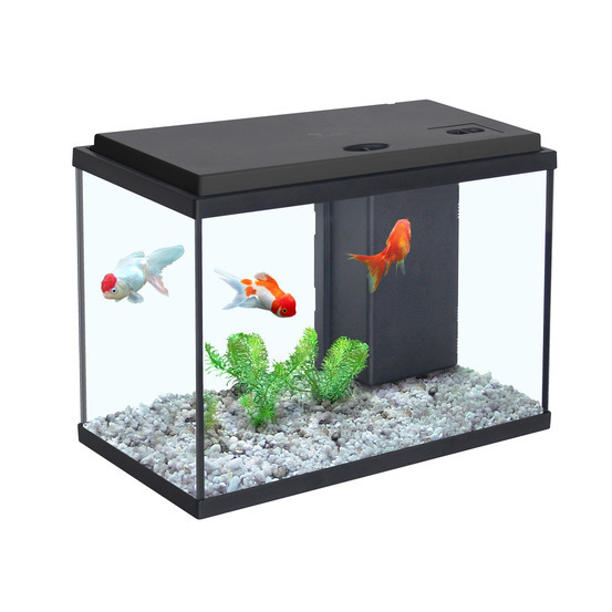 Aquarium Sarawak, noir - 15 litres