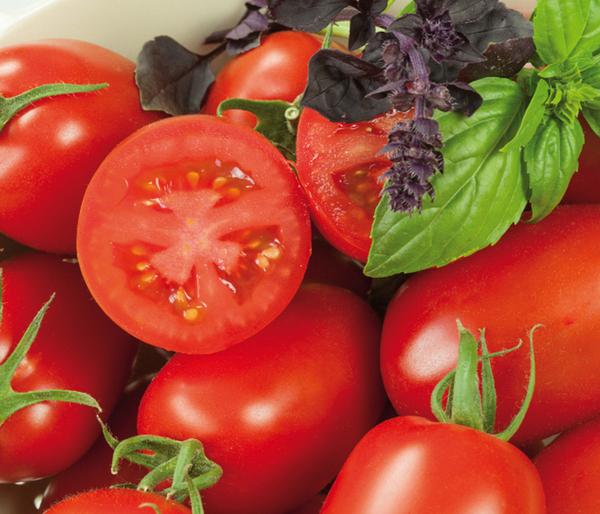 Eiertomate, rot