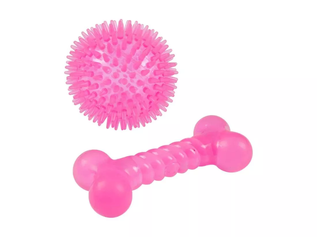 Lot de 2 Jouets pour Chien 