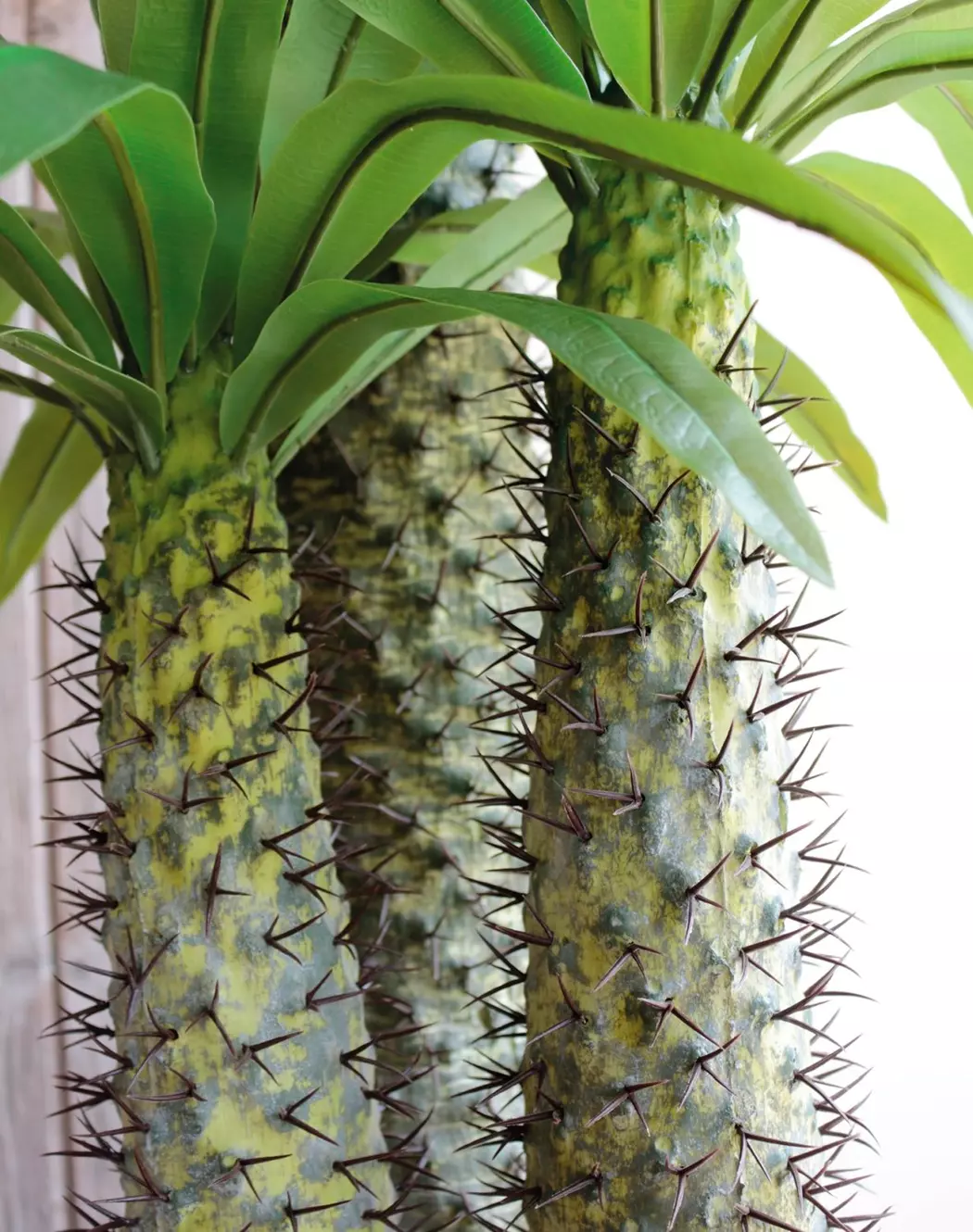 Kunstpflanze Madagaskarpalme 170 cm