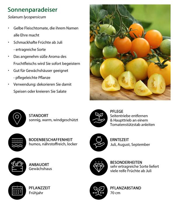 Sonnenparadeiser, gelb