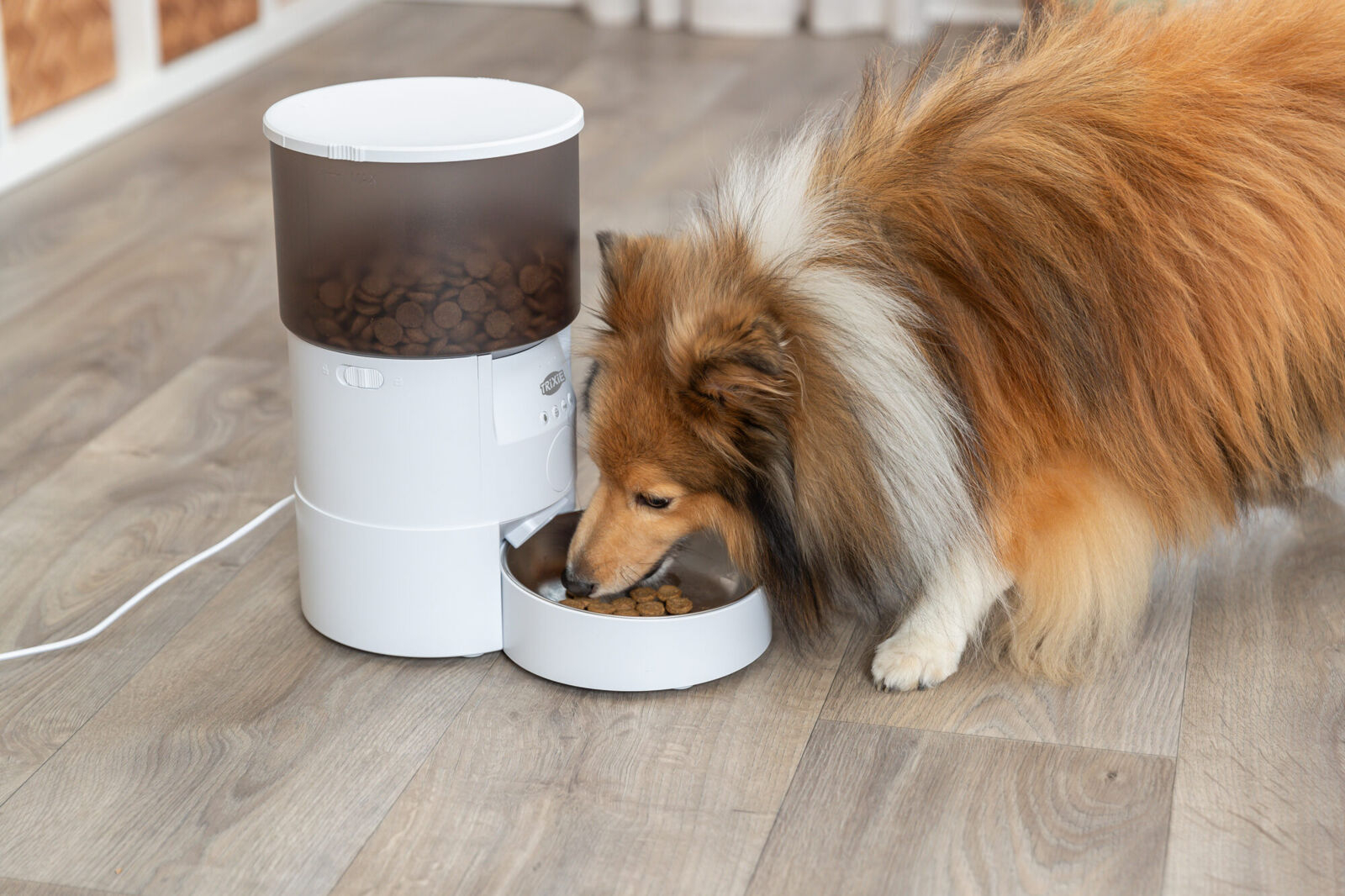 (3L) TX-S Smart Futterautomat Automatischer Haustier Futter Spender mit App Steuerung (T24345) - Weiss