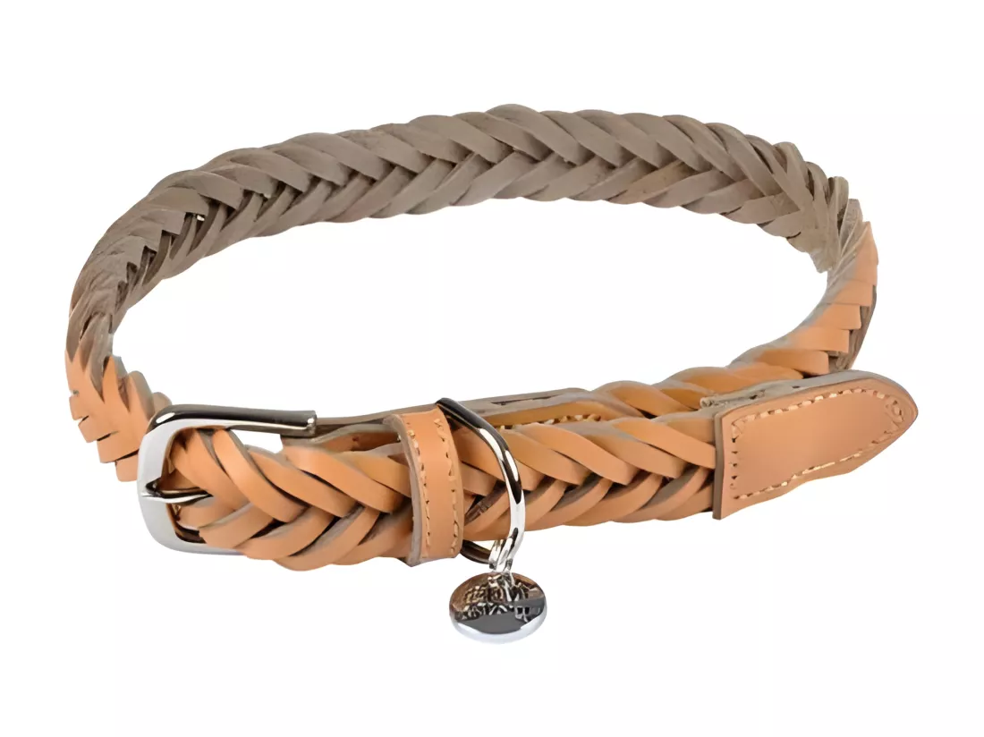 Collier règlable en cuir tressé pour chien - Beige - Taille L (de 50 à 70 cm)