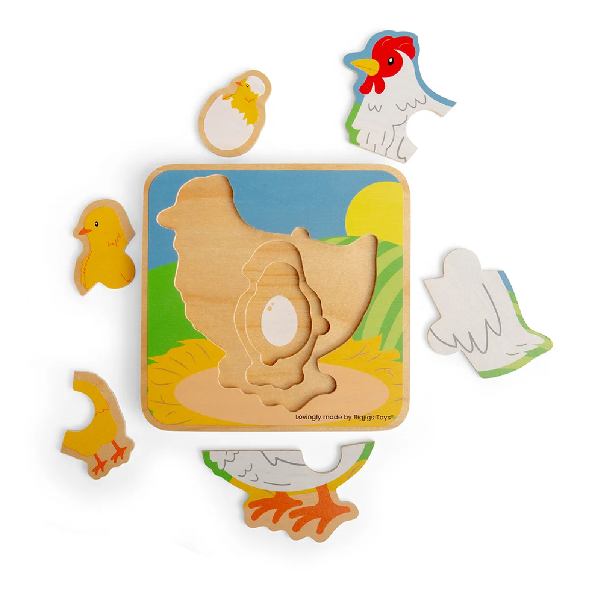Bigjigs Toys Cycle de vie Poulet